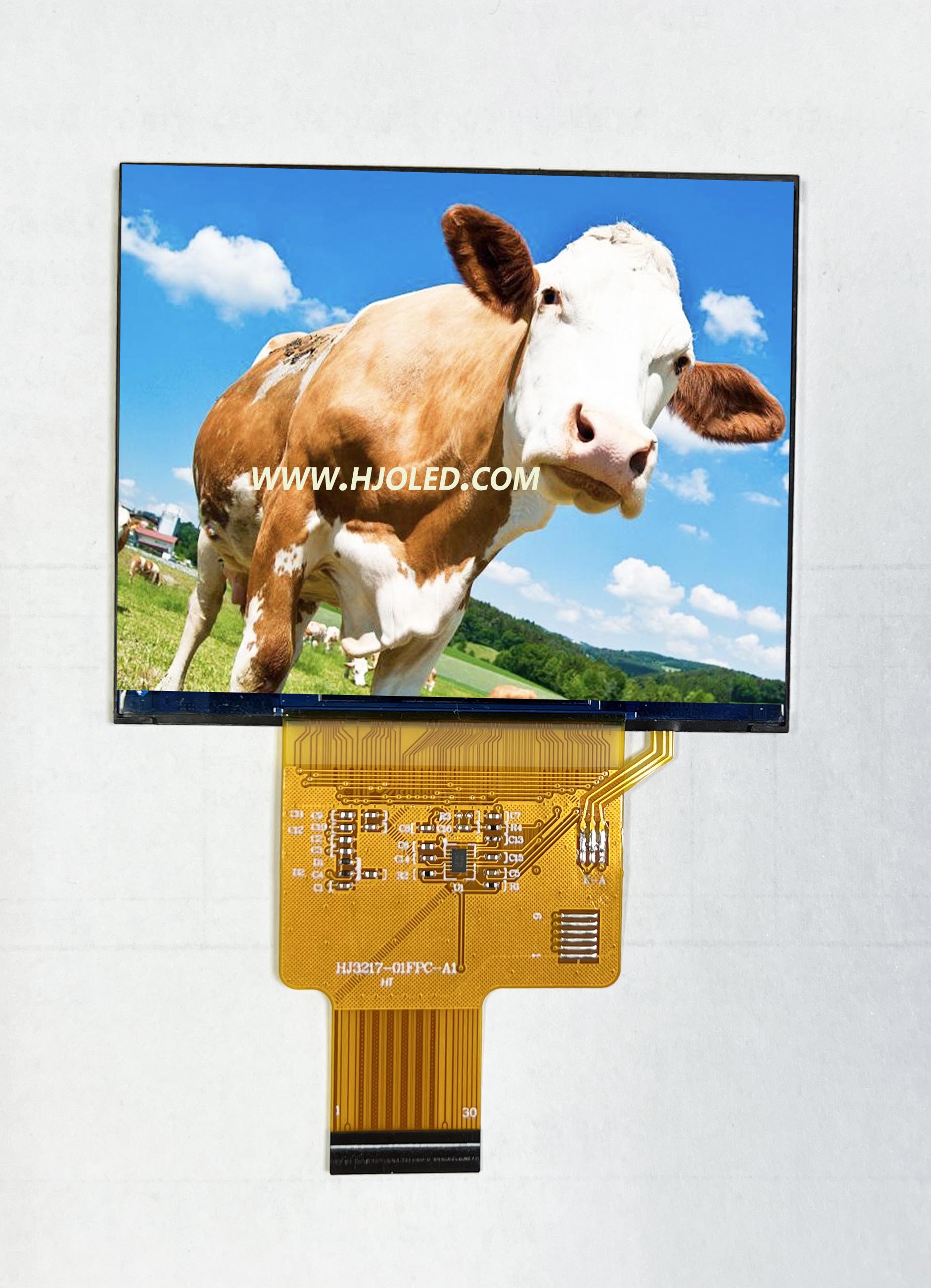 Display per schermo orizzontale IPS da 3,17 pollici con risoluzione 1024*768, supporta più interfacce