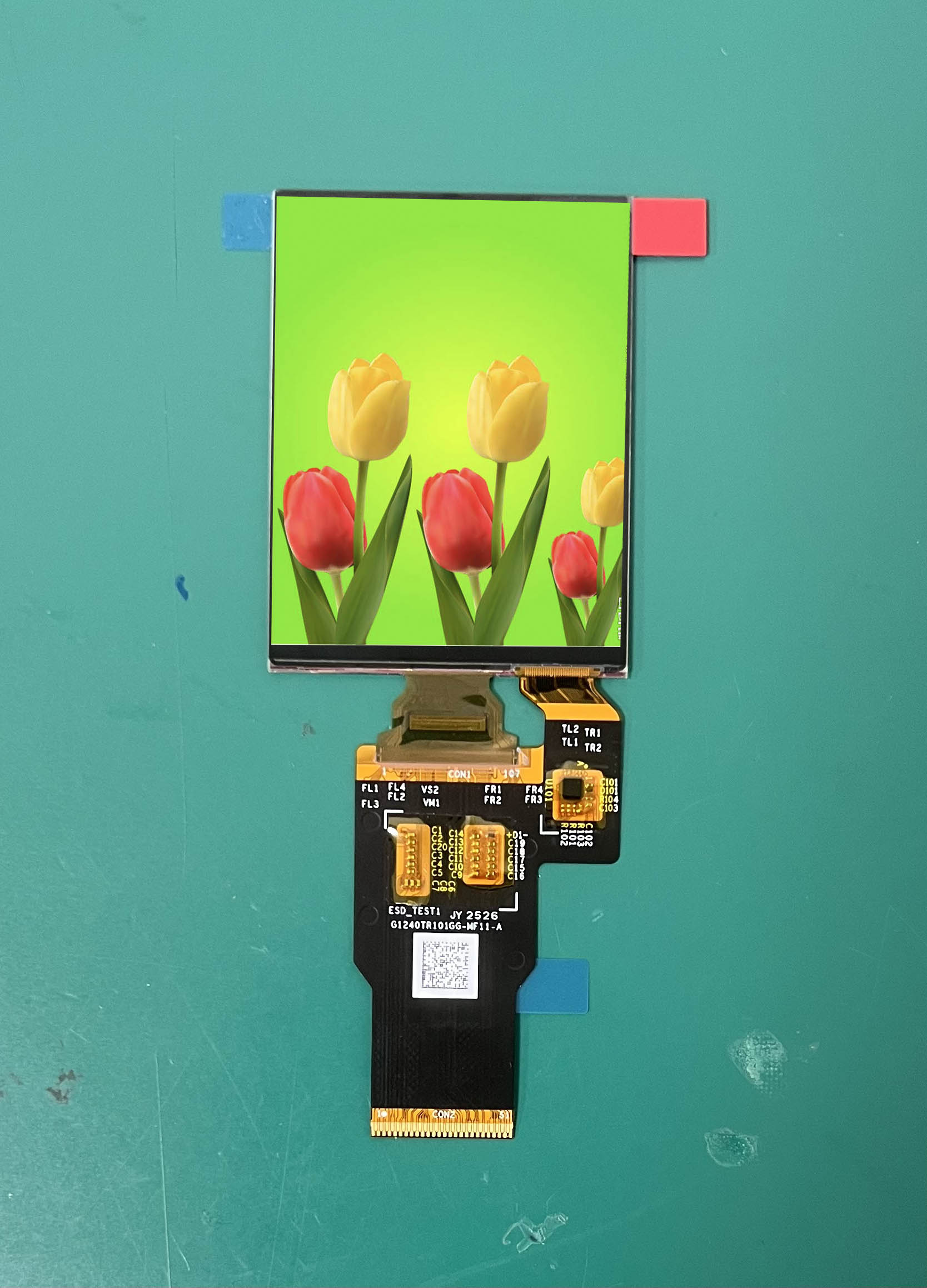 Differenze tra i display AMOLED e TFT da 2,4 pollici riguardo al consumo energetico, alla luminosità e alla gamma di colori